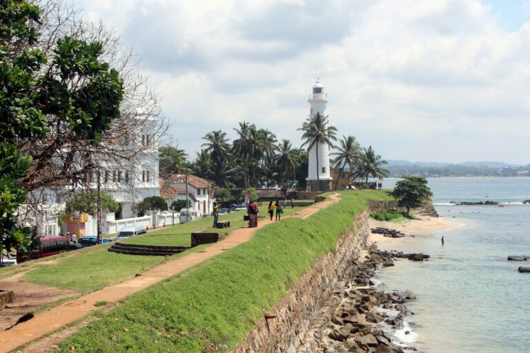 Galle (4) (2)